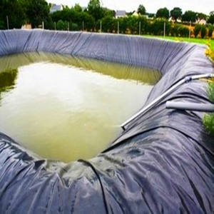 एक्वाकल्चर मछली पालन बांध और तालाब के लिए वाणिज्यिक 0.5 मिमी एचडीपे जियोम्ब्रन लाइनर - Product Image 2