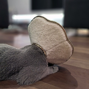Collier <span class=keywords><strong>Elizabeth</strong></span> à dégagement rapide pour la récupération du chat Fibre de polyester solide EVA Plume de renfort de cou souple pour les soins postopératoires pour animaux de compagnie - Product Image 5