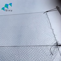 Filet de Protection contre les oiseaux, 5 m, pour Agriculture, culture et jardin, Anti-casse, filet de brume en Nylon