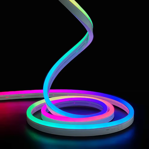 Kit de guirlande lumineuse néon RGBIC USB 5V étanche IP65 de 5 m avec application et télécommande, <span class=keywords><strong>bande</strong></span> <span class=keywords><strong>LED</strong></span> flexible pour usage intérieur - Product Image 5