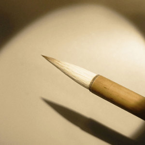 Ensemble professionnel <span class=keywords><strong>de</strong></span> pinceaux et <span class=keywords><strong>de</strong></span> stylos <span class=keywords><strong>de</strong></span> calligraphie traditionnelle chinoise avec poils mixtes et manche en bois - Product Image 3