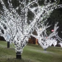 Guirlande lumineuse LED solaire pour jardin, étanche IP65, pour décoration intérieure et extérieure, rideau lumineux, 8 modes