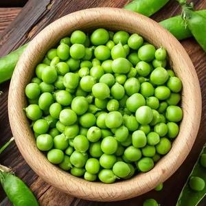 Haricots verts sucrés congelés IQF de haute qualité Produit d'exportation en gros à <span class=keywords><strong>prix</strong></span> compétitif - Product Image 4