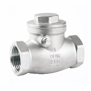 Válvula de Retención de Acero Inoxidable 304 de Alta Calidad DN25 PN16 con Extremo Roscado - Product Image 1