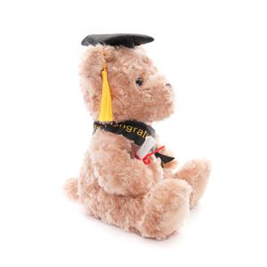Adorable ours en peluche marron pour la remise des diplômes, jouet en peluche doux avec écharpe et toque pour cadeau de fête universitaire - Product Image 4