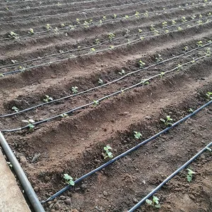 Garten bewässerungs system Automatisches 16-mm-Patch-Tropfbewässerungsband Preis