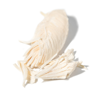 Friandises pour animaux de compagnie, poitrine de poulet lyophilisée, 100% viande, pour chiens et chats, nourriture pour animaux de compagnie riche en protéines