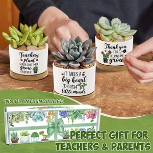Custom Back to School Teacher Retirement Gift Succulent Cactus Mini Ceramic Plant Pots with Gift Box