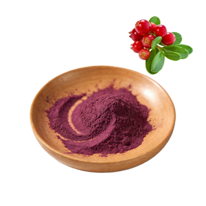 Bubuk Ekstrak Bilberry Alami Berkualitas Tinggi Grosir 25% Antosianin - Product Image 2