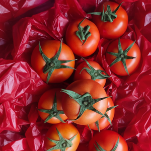 <span class=keywords><strong>Tomate</strong></span> Chino Fresco de Nueva Cosecha, <span class=keywords><strong>Tomate</strong></span> Dulce y Fresco - Product Image 5