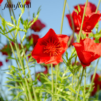 Fleurs artificielles en soie réaliste de 56 cm, bouquet de coquelicots artificiels, mini-buisson de coquelicot de Californie fait à la main