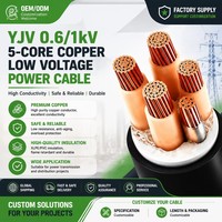Cable de Alimentación YJV de 5 Núcleos, 0.6/1kV, 99.9% Cobre Puro, Aislamiento XLPE, Cable de Distribución Eléctrica de Bajo Voltaje Personalizado, Precio de Fábrica