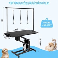 Fournitures médicales multifonctionnelles Medvet Prix d'usine Fournisseur d'animaux de compagnie Table de toilettage pliable et personnalisée pour chiens