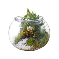 Mini aquarium de bureau rond hautement transparent pour poissons rouges et tortues - Aquarium en plastique avec décor paysager pour le bureau