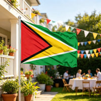 Drapeau de la Guyane : Produits personnalisés, bannière drapeau d'extérieur économique, 100% polyester, drapeau national de la Guyane, approvisionnement en gros