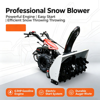 Machine de nettoyage industrielle, balayeuse à neige automotrice, machine à balayer la neige à moteur à essence pour le déneigement des routes et des allées