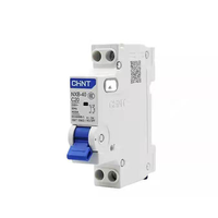 Mini-Disjoncteur NXB-40 1P+N DPN 6A 10A 16A 20A 25A 32A 40A Chint NXB-40 MCB