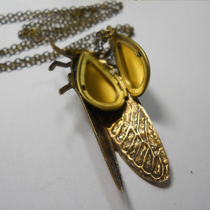 Collar con Colgante de Cigarra Grande con Medallón Secreto Oculto, Joyería Entomológica de Insectos - Product Image 2