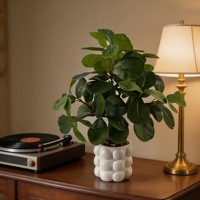 Bonsaï artificiel Ficus lyrata 44 cm, plante en polyester écologique, pot blanc à bulles pour la Saint-Valentin, Halloween, décoration intérieure