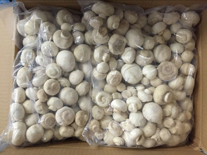 Detan <span class=keywords><strong>champignon</strong></span> congelati all'ingrosso/prezzi all'esportazione di produzione di funghi bianchi - Product Image 2