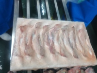 Volle Zwarte Tilapia IQF Diepvriesvis 100% Natuurlijk OPTIMUM Merk China Groothandel Export