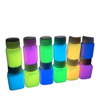 Ensemble de pigments lumineux imperméables et durables de 30ml peints à la main pour vêtements humains peinture de vêtements