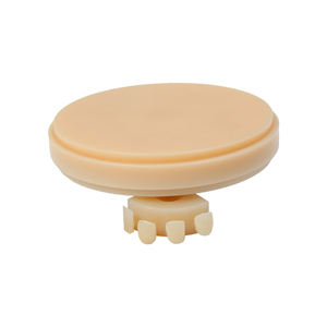 בלוק <span class=keywords><strong>PMMA</strong></span> תלת שכבתי לדנטלי, דגם שרף דנטלי, TM-311 ZOGEAR סימולציה ברמת דיוק גבוהה, <span class=keywords><strong>CAD</strong></span>/<span class=keywords><strong>CAM</strong></span> למעבדות שיניים - Product Image 4