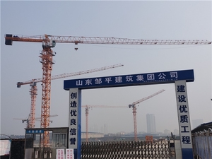 Grúa Torre PT5510 Nueva con Capacidad de Carga de 6 a 10 Toneladas, Equipada con Componentes Principales: Motor, Rodamiento, PLC, Engranaje y Motor - Product Image 4