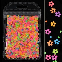 Paso Sico 2 g/sac 15 couleurs paillettes lumineuses fleurs colorées mignon Kawaii Design Nail Art paillettes 3D accessoires