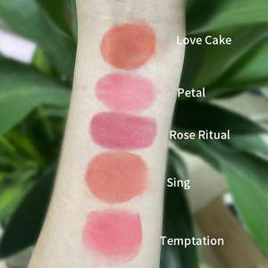 OEM al por mayor cosméticos <span class=keywords><strong>5</strong></span> colores mate mejilla tinte vegano impermeable Gel crema colorete Etiqueta Privada maquillaje pigmentado líquido rubor - Product Image 2