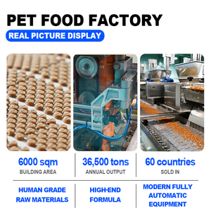 OEM Pet tratta grossista cubo di erba di gatto di alta qualità naturale a cubetti di erba di gatto ad alto contenuto proteico cibo per cani per gatti liofilizzato - Product Image 4