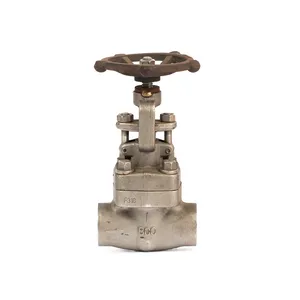 Forged Steel Globe Valve A105 BB OSY Screw End NPT