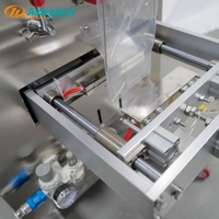 DL-XBF-D horizontale Dosis-Verpackungs maschine Beutel füllen und versiegeln fertiges Produkt in einem Schuss