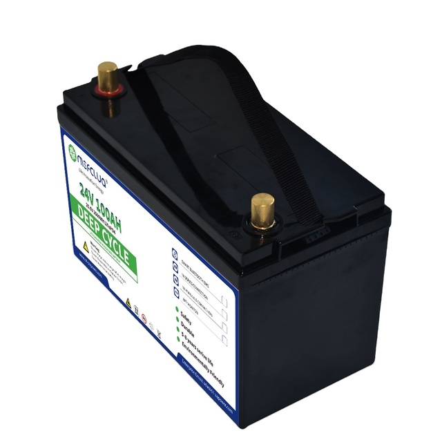 24v 50ah 100ah 120ah 150ah Lifepo4 Energy Storage Battery 25.6v Lithium Ions Batteries Lithium Battery