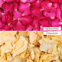 Pétales de rose séchés biodégradables écologiques, plusieurs couleurs, pour la décoration des allées, les bains de fleurs et les décorations festives