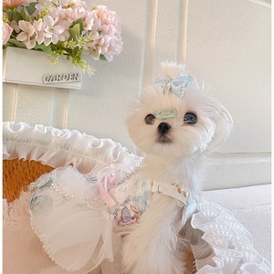 Robe de princesse pour animaux de compagnie, tutu brodé blanc pour Yorkshire Terrier, Maltese, Bichon Frise, jupe en polyester pour toutes les saisons - Product Image 2