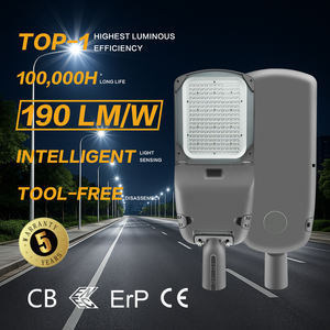 Lampe de rue extérieure à haut lumen et à économie d'énergie, en aluminium moulé sous pression, IP65, LED AC - Product Image 1