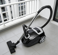 Aspirateur à filtre HEPA multifonctionnel portatif, prix d'usine, 4L, aspirateur électrique à filtre HEPA, aspirateur à filtre HEPA pour le nettoyage des sols domestiques