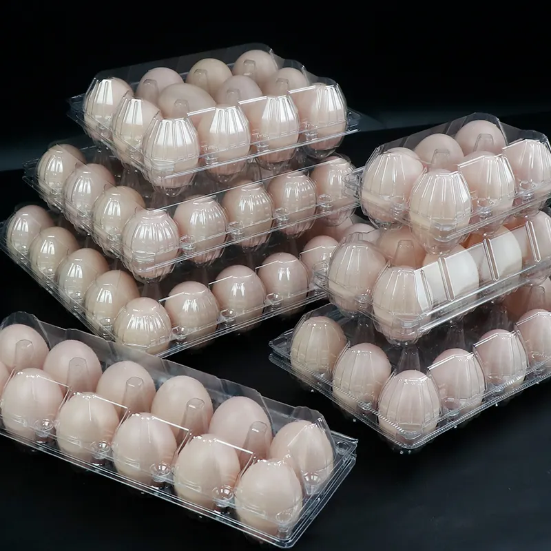 Recyclable 12 Cells Clear Eggs Container Plastic Egg Tray Plastic Packaging For Eggs