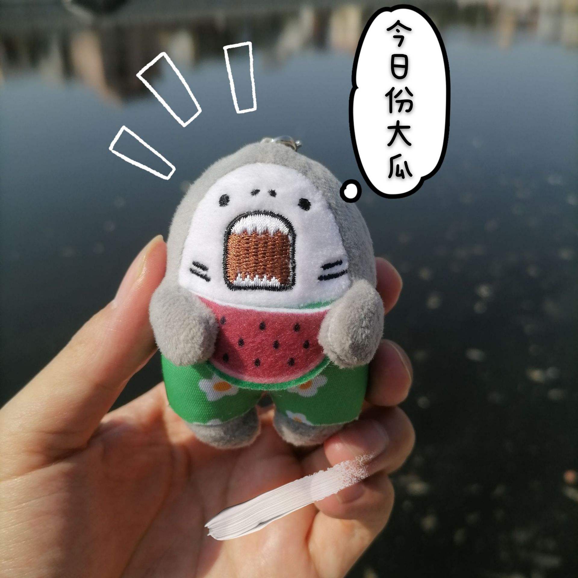 ดูละคร/ซุบซิบฉลาม