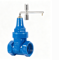 Vanne à opercule à joint souple, manuelle, avec verrouillage antivol crypté, raccord fileté pour entrée de compteur, PN10, OEM disponible, 2 à 12 pouces, pour alimentation en eau
