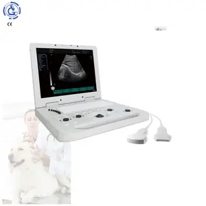 Doppler medical ultrasonic equipment 3D laptop color doppler ultrasound echo