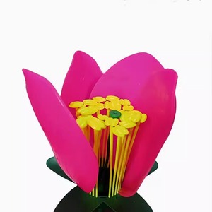Modelos de experimentos de biología para escuelas secundarias y preparatorias, material didáctico de biología, modelos ampliados de estambres y pétalos de flores. - Product Image 1