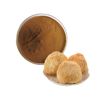 Löwenmast-Kapseln organisches Löwenmast-Pilz-Extrakt - Product Image 6
