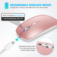 Souris optique mini double mode sans fil BT 5.2 + 2.4G avec récepteur USB-A Type-C, compatible avec tous les systèmes pour ordinateur portable, PC, iPad