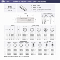 SJHY Z487 Tampon de date interchangeable de type long en acier inoxydable SUS420, insert de marquage de date pour moule compatible HASCO, précision pour cavités profondes