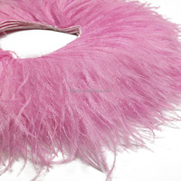 Costume Couture accessoire de mode de luxe 15-18cm garniture en plumes d'autruche frange garniture sur cordon