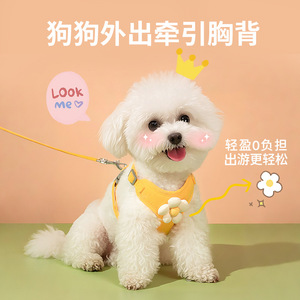 Correa bordada con diseño de margaritas para mascotas, chaleco de encaje para perros y gatos, correa de pecho y cuello para perros pequeños, transfronterizo - Product Image 2