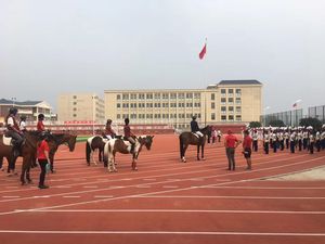 Pista Atlética Prefabricada de Caucho Sintético INOLP de 400m, Color Rojo, Superficie de Tartán para Exteriores - Product Image 3