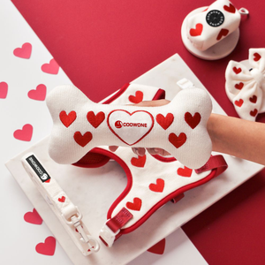 Juego Popular de Arnés para Perro con Diseño Personalizado, Collares y Correas para Mascotas, Collar Bandana de Lujo para Perro y Portabolsas para Excrementos, Suministros para Mascotas - Product Image 2